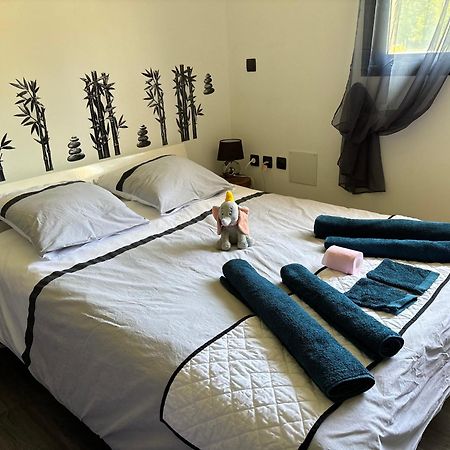 Maison Moderne Au Calme Avec Billard, Jacuzzi, Bain A Remous, Piscine, Babyfoot Labastide-du-Temple Luaran gambar